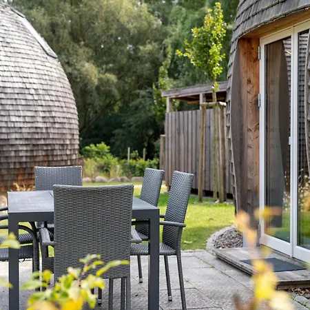 Kugelhaus Phoebe Charmantes Kugelhaus Aus Holz Am Waldrand Des Tollensesees Feriehus