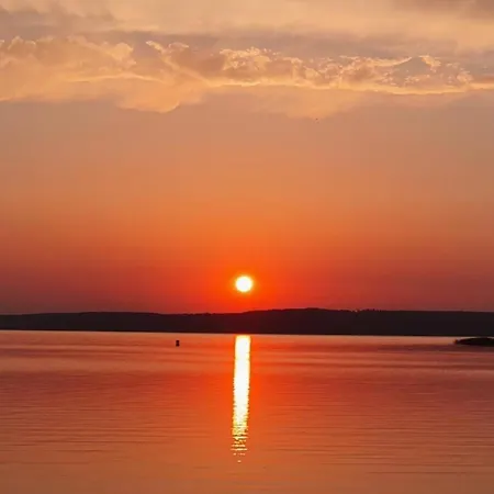 Kugelhaus Phoebe Charmantes Kugelhaus Aus Holz Am Waldrand Des Tollensesees Feriehus